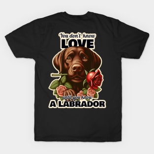 Labrador Valentine's day T-Shirt